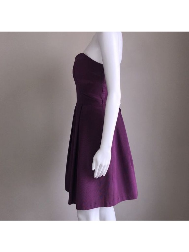 Lula Kate Lucy With Dahlia Style Skirt In Amethyst - 8 — image 3 of 6